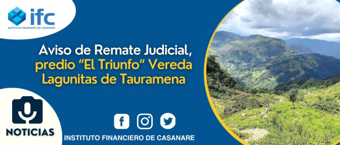 Remate judicial