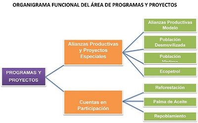 Programas y Proyectos