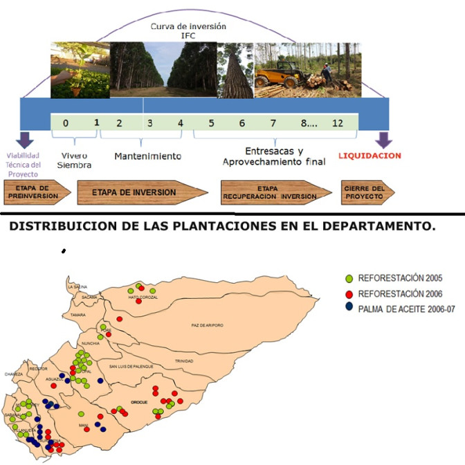 3-reforestacion.jpg